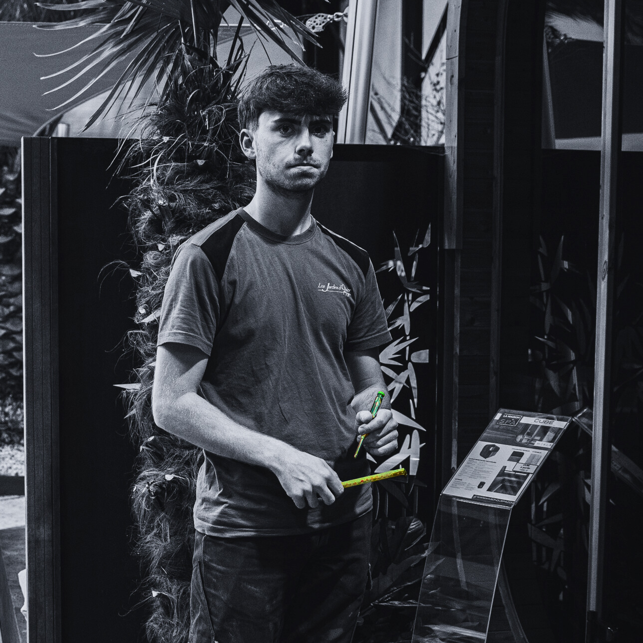 anzo--8hg6n0.png