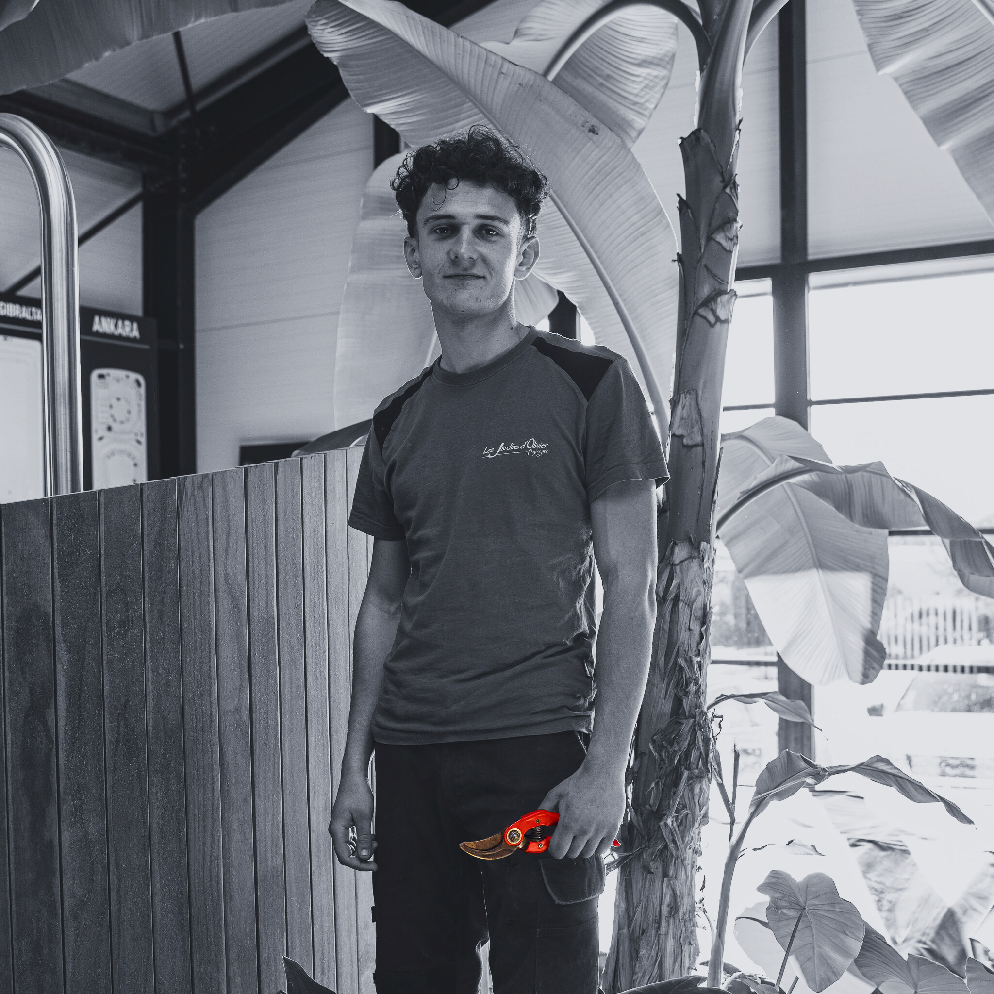 nolan-kaf8e9.png